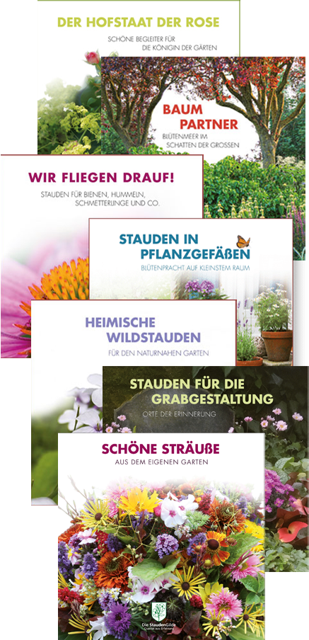 Broschüren